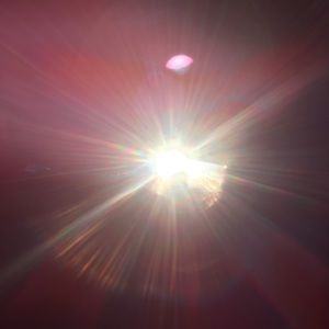 Meet your Posher, Ethan